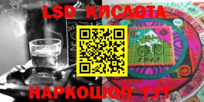 прущие грибы Краснодар