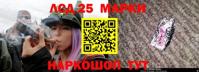 прущие грибы Краснодар