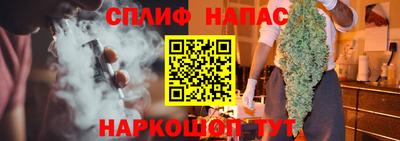 прущие грибы Краснодар