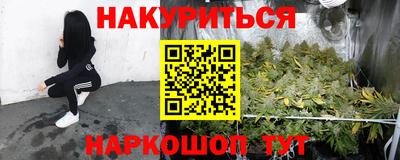 прущие грибы Краснодар