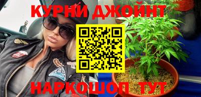 прущие грибы Краснодар