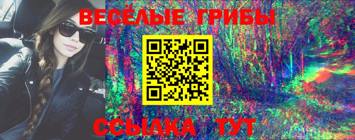 Галлюциногенные грибы ЛСД  Псилоцибиновые грибы прущие грибы  Кимры  Вход с VPN 
